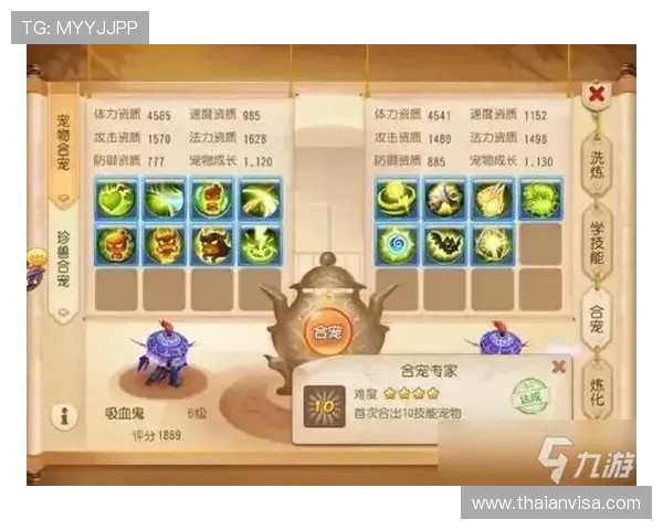 九游梦幻西游手游官网下载攻略，帮助新手快速上手游戏玩法